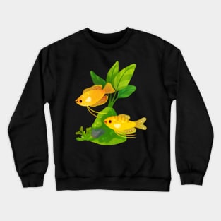 Freshwater fish and plants - Gourami Crewneck Sweatshirt